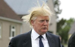 Pic Donald Trump Crazy Hair
